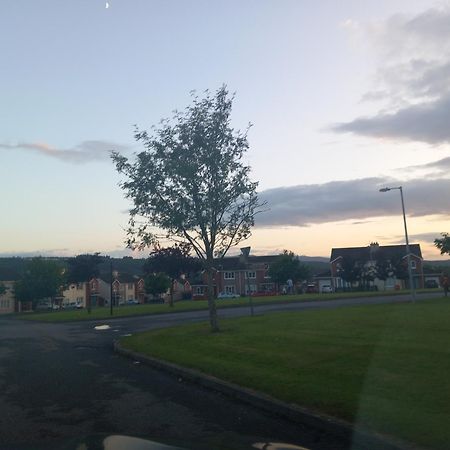 Sycamore Place Carrick on Suir Bagian luar foto
