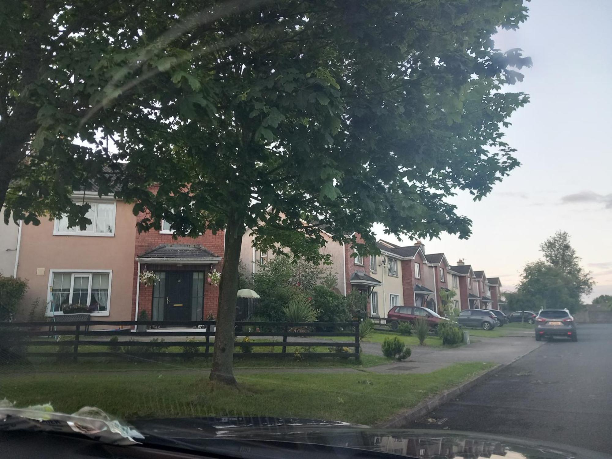Sycamore Place Carrick on Suir Bagian luar foto